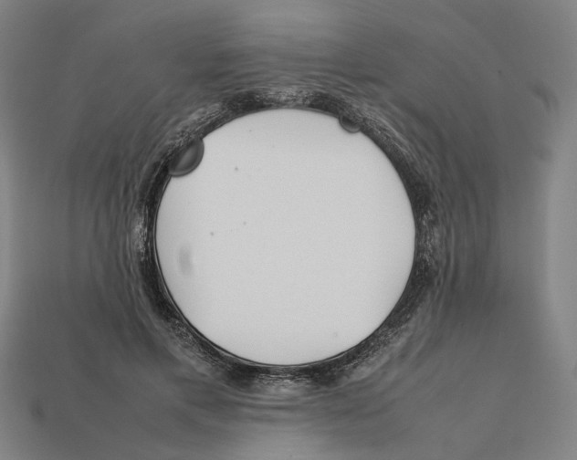 X0000112410597200909110951
