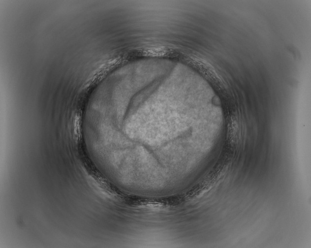 X0000112410598200909110951