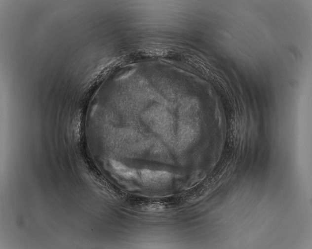 X0000112410600200909110951