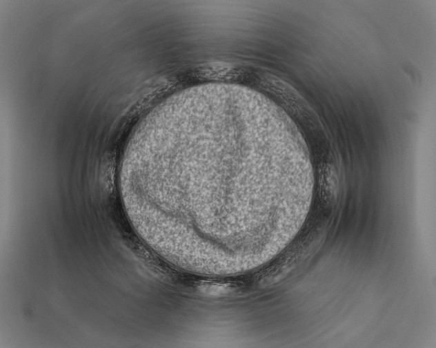 X0000112410602200909110951