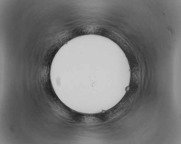 X0000112410605200909110951