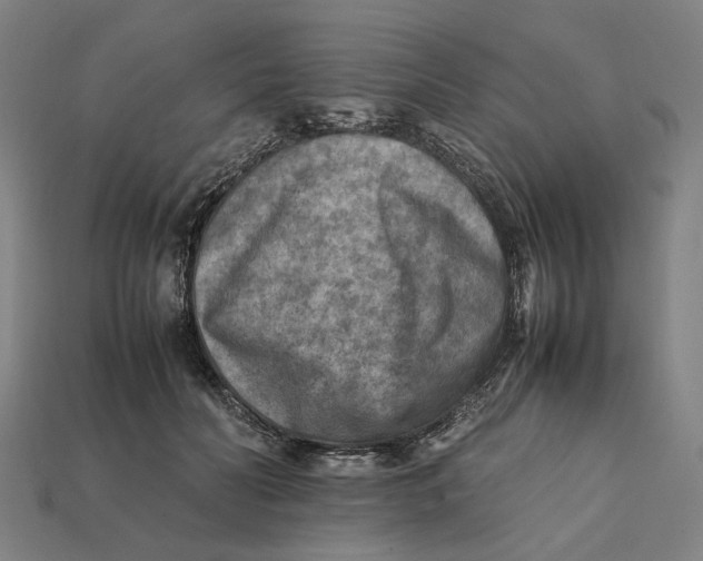X0000112410606200909110951