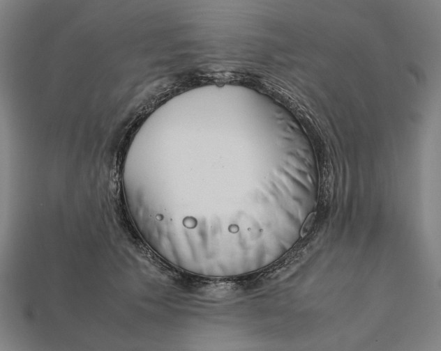 X0000112410609200909110951