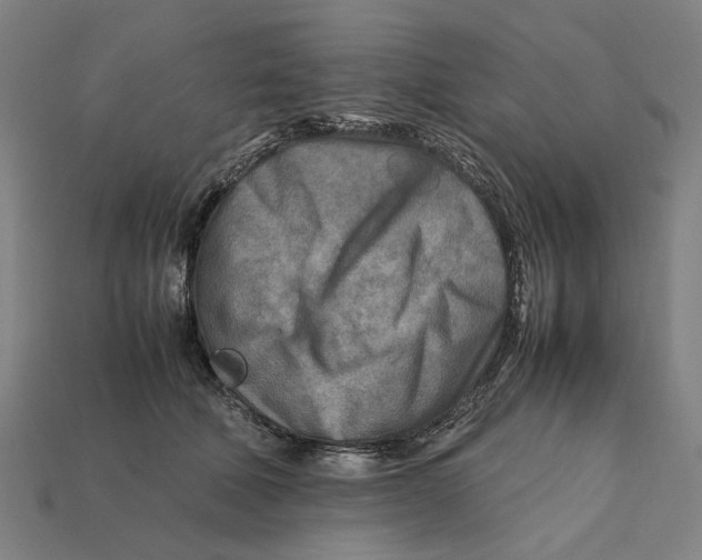 X0000112410610200909110951