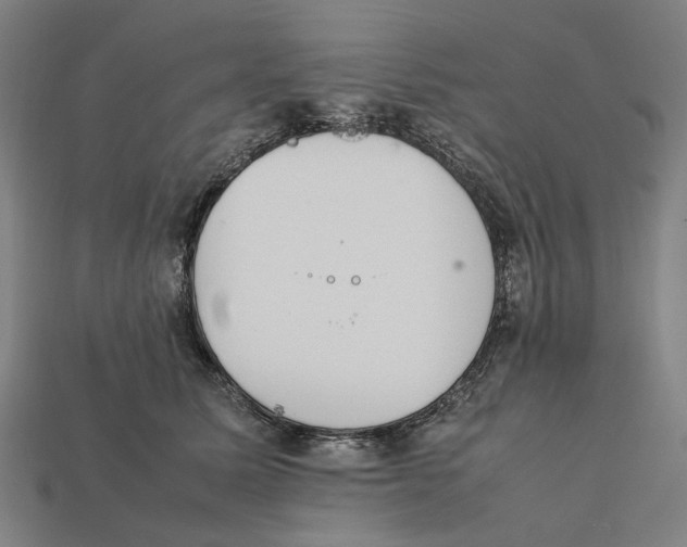 X0000112410611200909110951