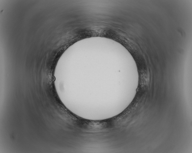 X0000112410613200909110951