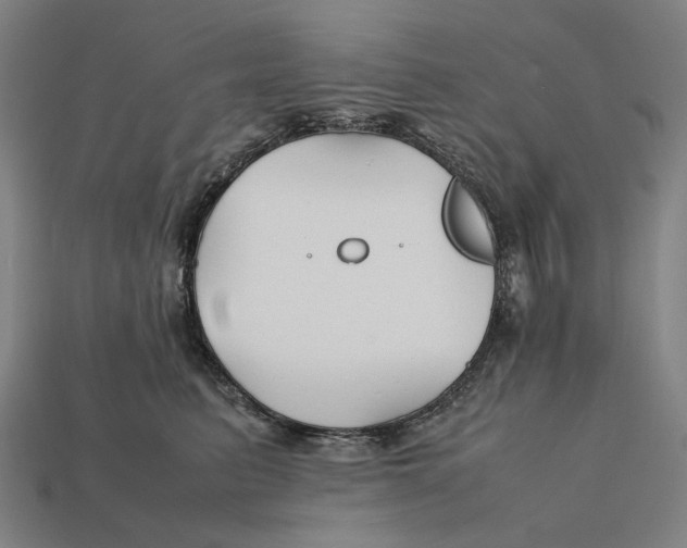 X0000112410615200909110951