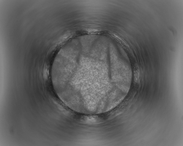 X0000112410618200909110951