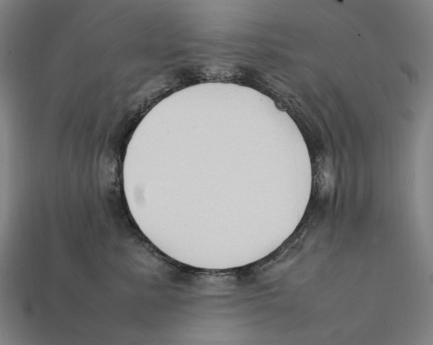 X0000112410619200909110951