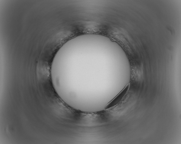 X0000112410621200909110951