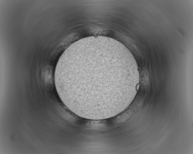 X0000112410622200909110951