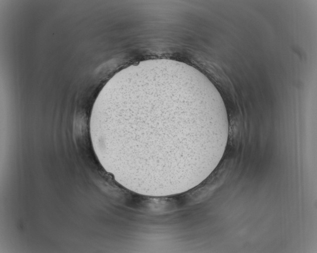 X0000112410623200909110951