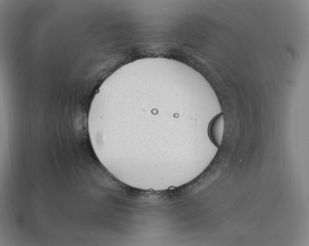 X0000112410624200909110951
