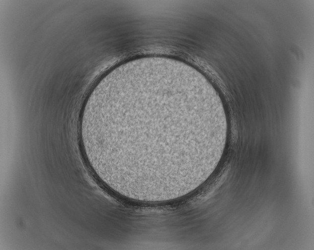 X0000112410625200909110950