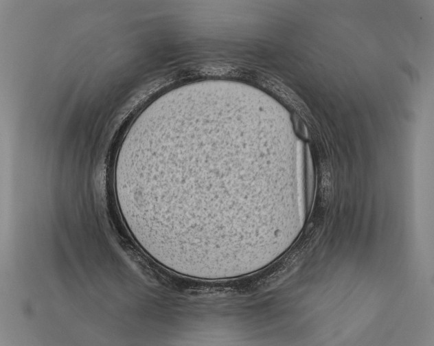 X0000112410626200909110950