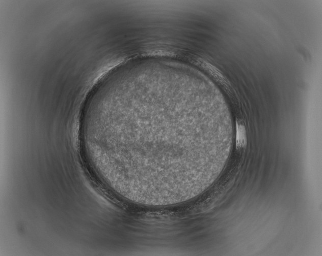 X0000112410627200909110950