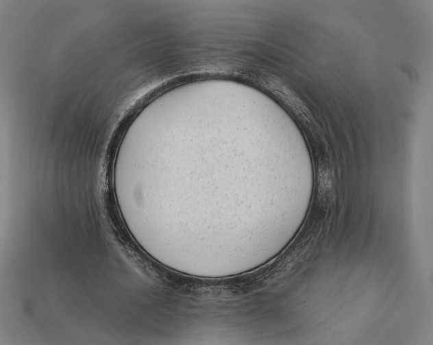 X0000112410628200909110950