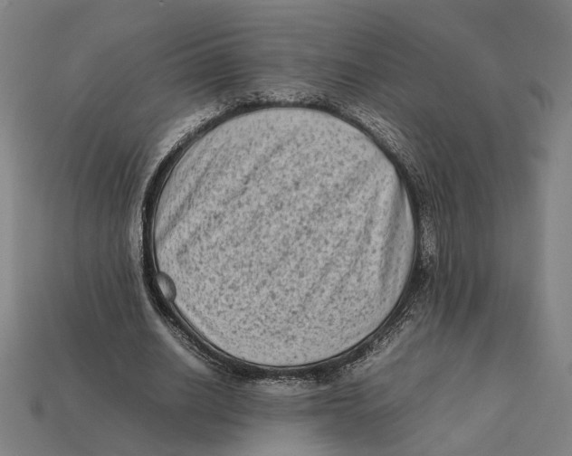 X0000112410630200909110950