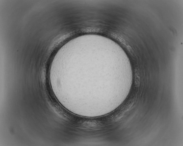 X0000112410631200909110950