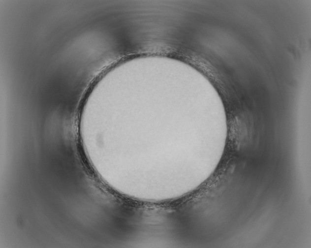 X0000112410632200909110950