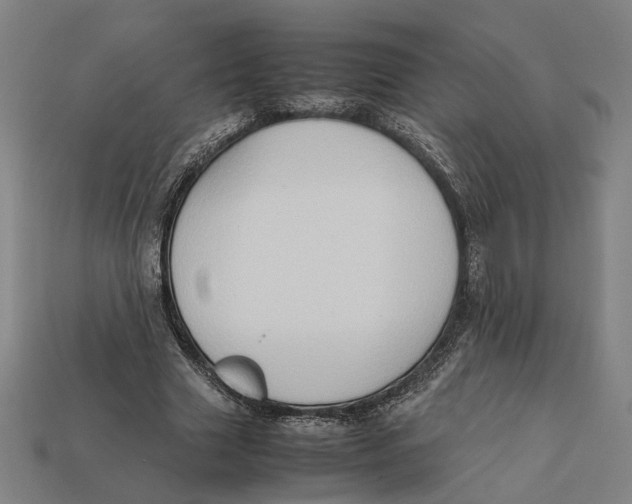 X0000112410633200909110950