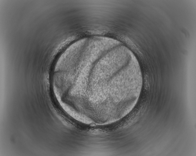 X0000112410634200909110950