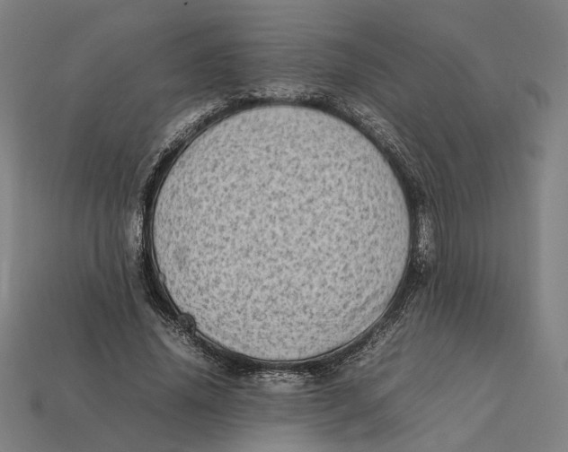 X0000112410636200909110950