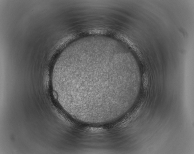 X0000112410637200909110950