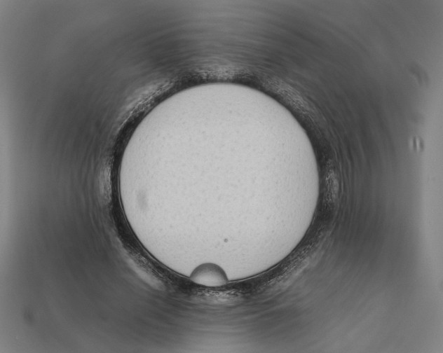 X0000112410638200909110950
