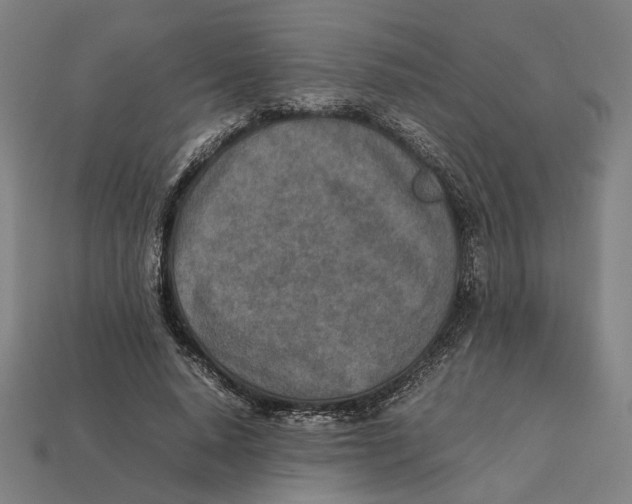 X0000112410640200909110950