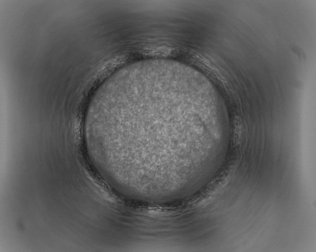 X0000112410641200909110950