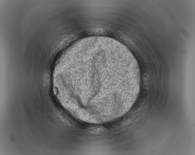 X0000112410642200909110950
