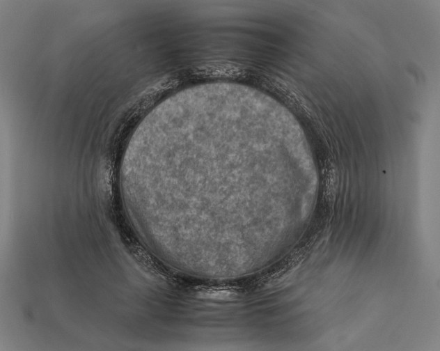 X0000112410643200909110950