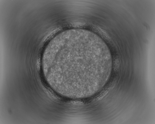 X0000112410644200909110950