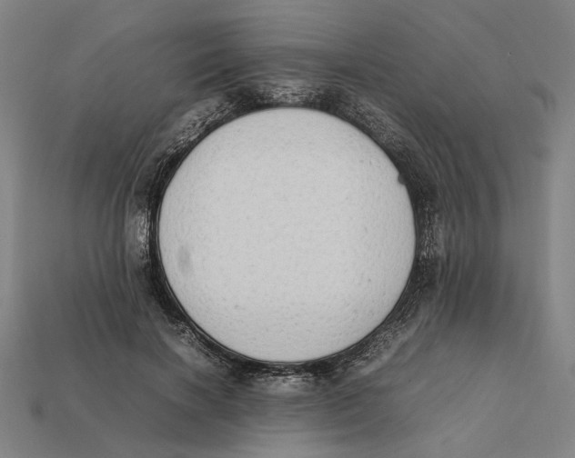 X0000112410646200909110950
