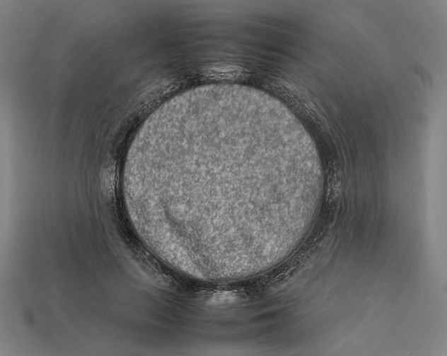 X0000112410647200909110950