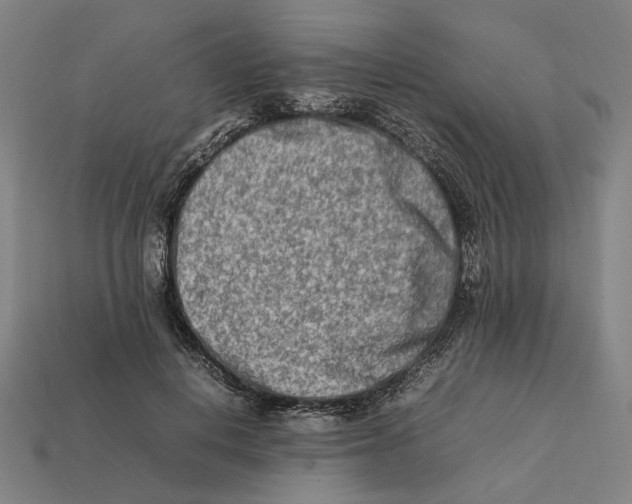 X0000112410648200909110950