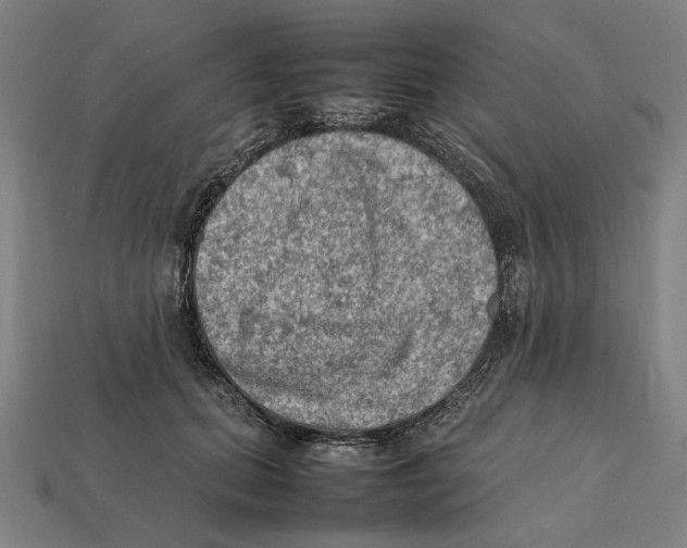 X0000112410655200909110951