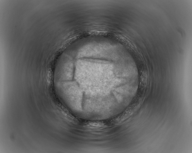 X0000112410659200909110951