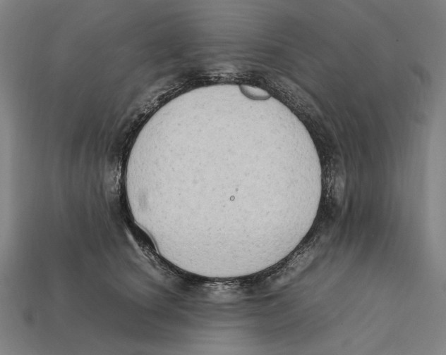 X0000112410660200909110951