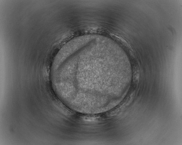 X0000112410661200909110951