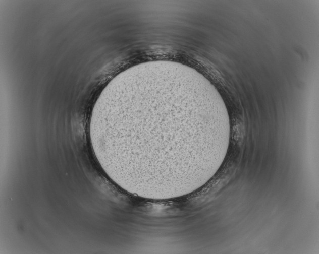 X0000112410662200909110951