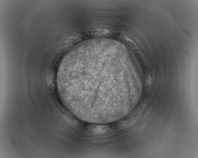 X0000112410663200909110951