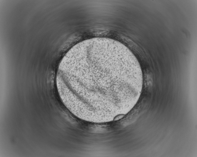 X0000112410664200909110951