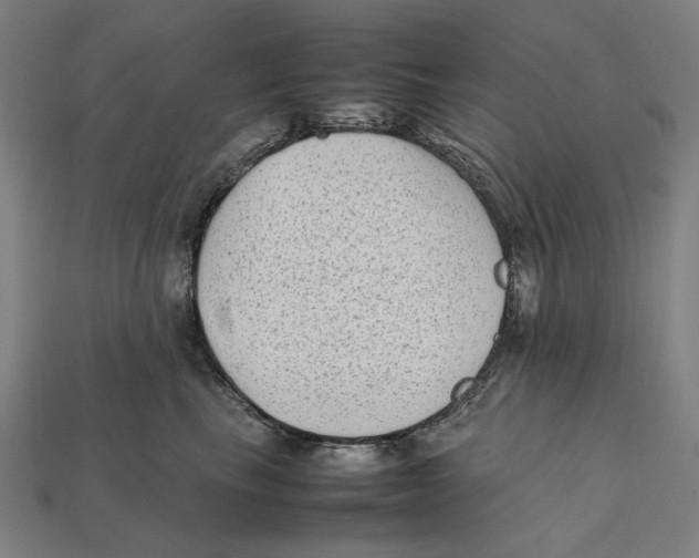 X0000112410665200909110951