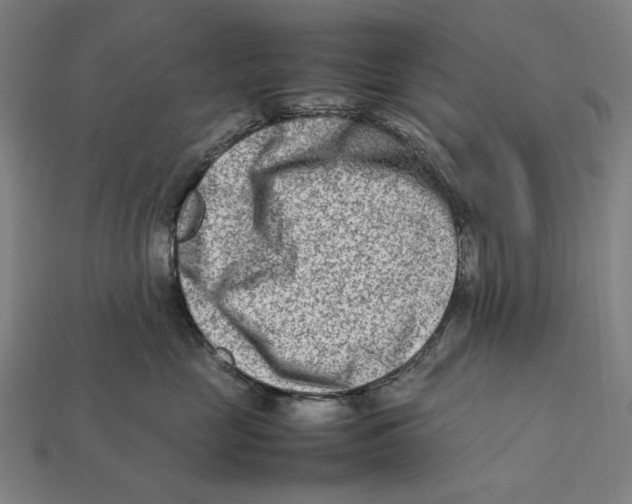 X0000112410669200909110951