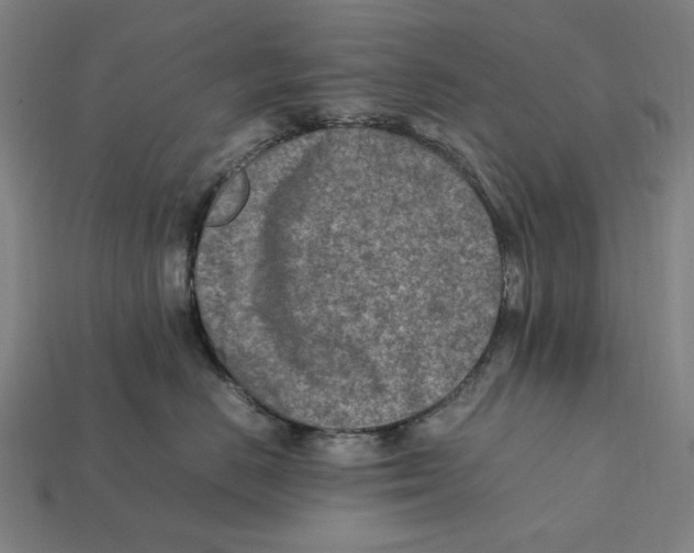 X0000112410670200909110951