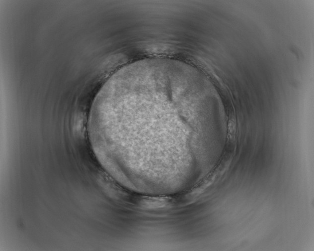 X0000112410671200909110951