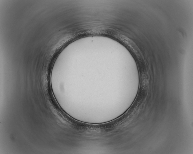 X0000112410677200909110950