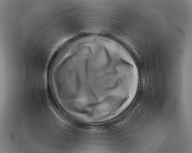 X0000112410678200909110950